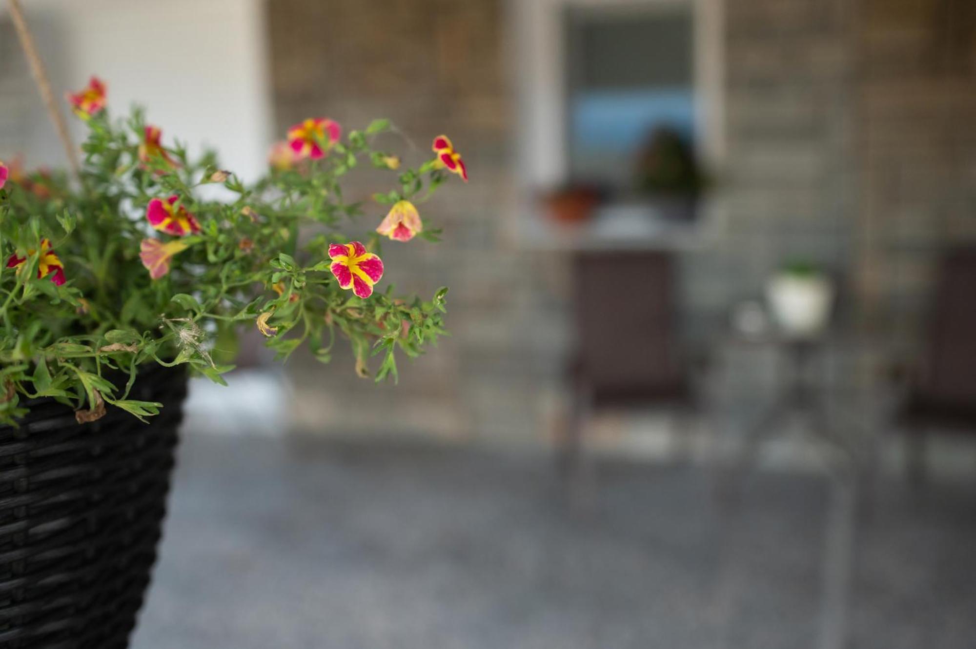 Four Sis Rooms Mangana Εξωτερικό φωτογραφία